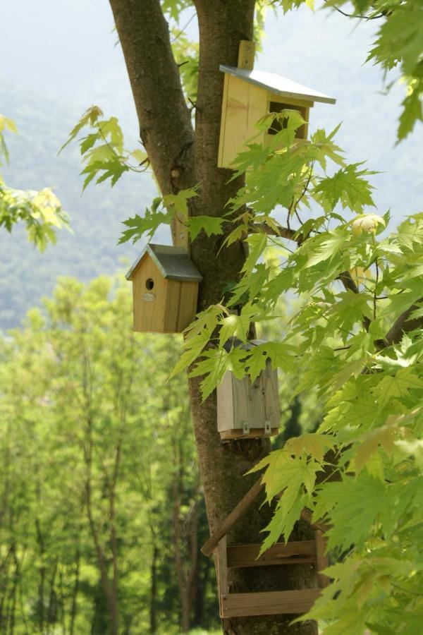 Coste Del Gaggio - Country House B&B - Garda Trentino Drena Exterior photo